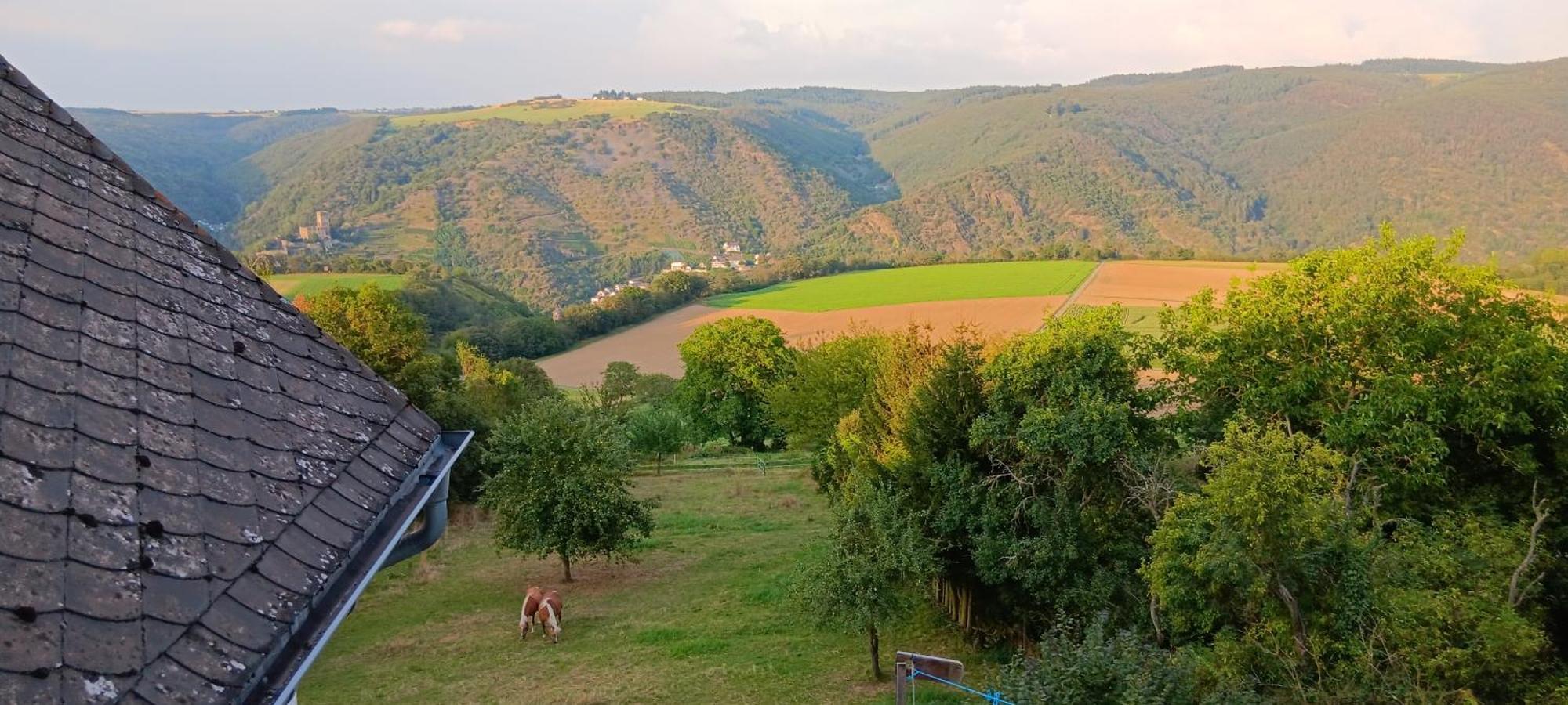 Romantische Ferienwohnung Rheingold 50 Qm Fuer 2 Bis 4 P Bacharach Εξωτερικό φωτογραφία